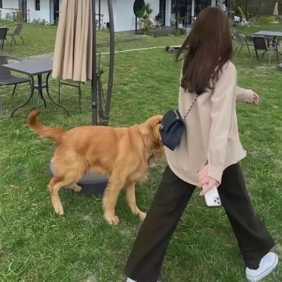 驴子潘趣